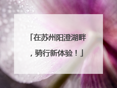 在苏州阳澄湖畔，骑行新体验！