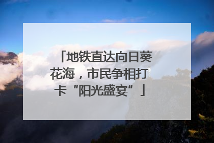 地铁直达向日葵花海，市民争相打卡“阳光盛宴”