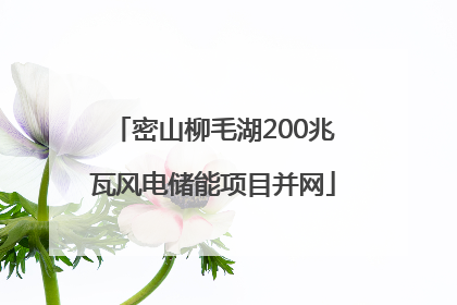 密山柳毛湖200兆瓦风电储能项目并网