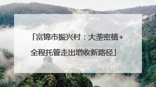 富锦市振兴村：大垄密植+全程托管走出增收新路径