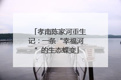 孝南陈家河重生记：一条“幸福河”的生态蝶变