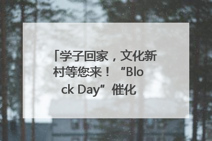 学子回家，文化新村等您来！“Block Day”催化学院式街区新生态