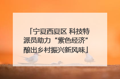 宁夏西夏区 科技特派员助力“紫色经济”酿出乡村振兴新风味