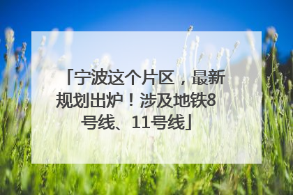 宁波这个片区，最新规划出炉！涉及地铁8号线、11号线