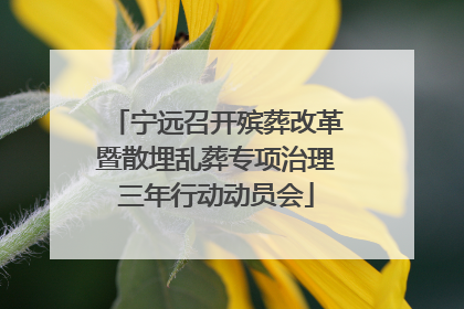 宁远召开殡葬改革暨散埋乱葬专项治理三年行动动员会