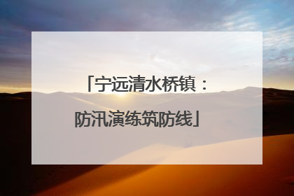 宁远清水桥镇：防汛演练筑防线