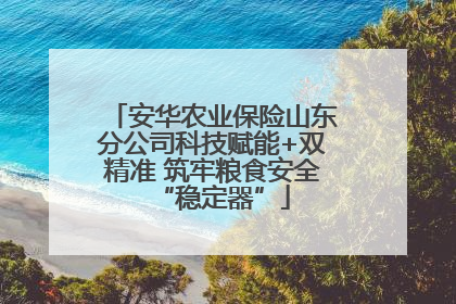 安华农业保险山东分公司科技赋能+双精准 筑牢粮食安全“稳定器”