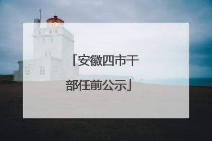 安徽四市干部任前公示