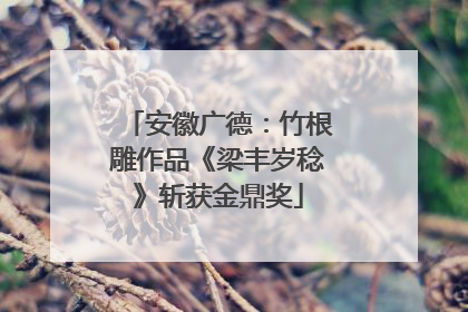 安徽广德：竹根雕作品《梁丰岁稔》斩获金鼎奖
