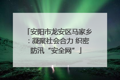 安阳市龙安区马家乡：凝聚社会合力 织密防汛“安全网”