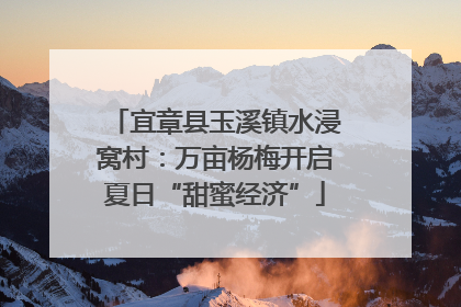 宜章县玉溪镇水浸窝村：万亩杨梅开启夏日“甜蜜经济”