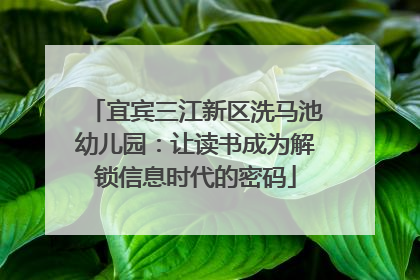 宜宾三江新区洗马池幼儿园：让读书成为解锁信息时代的密码