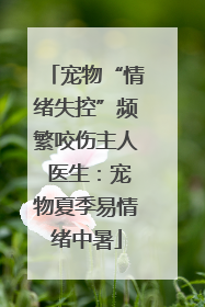 宠物“情绪失控”频繁咬伤主人 医生：宠物夏季易情绪中暑