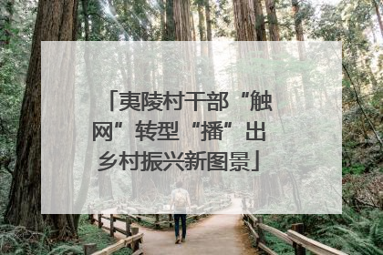 夷陵村干部“触网”转型“播”出乡村振兴新图景