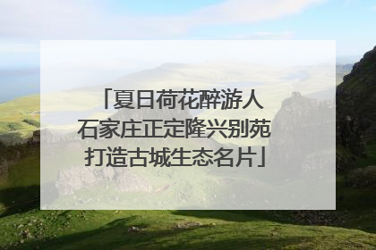 夏日荷花醉游人 石家庄正定隆兴别苑打造古城生态名片