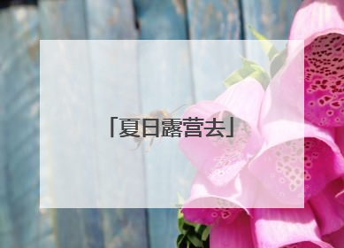 夏日露营去