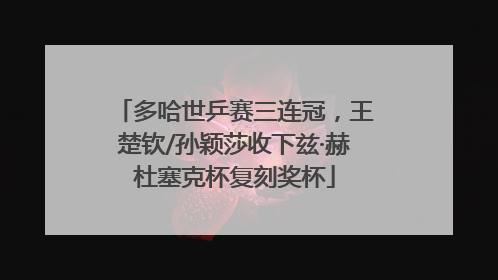 多哈世乒赛三连冠，王楚钦/孙颖莎收下兹·赫杜塞克杯复刻奖杯