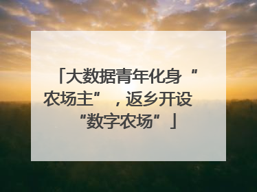 大数据青年化身“农场主”，返乡开设“数字农场”