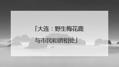 大连：野生梅花鹿与市民和谐相处