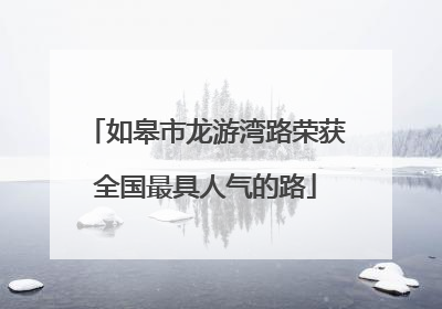 如皋市龙游湾路荣获全国最具人气的路
