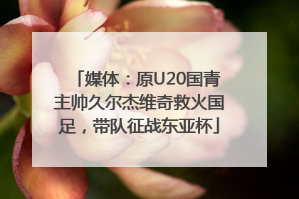 媒体：原U20国青主帅久尔杰维奇救火国足，带队征战东亚杯
