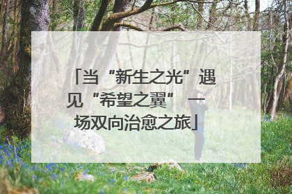 当“新生之光”遇见“希望之翼” 一场双向治愈之旅