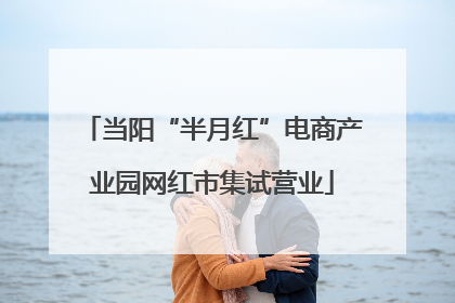 当阳“半月红”电商产业园网红市集试营业