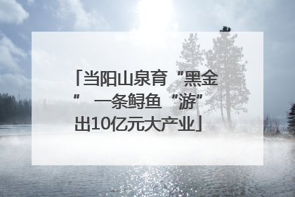 当阳山泉育“黑金” 一条鲟鱼“游”出10亿元大产业