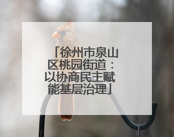 徐州市泉山区桃园街道：以协商民主赋能基层治理