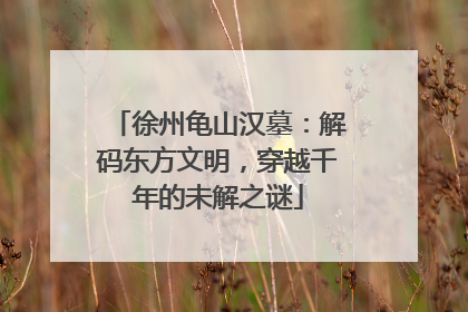 徐州龟山汉墓：解码东方文明，穿越千年的未解之谜