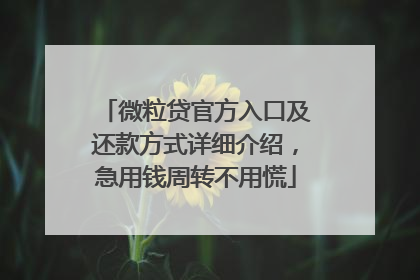 微粒贷官方入口及还款方式详细介绍，急用钱周转不用慌