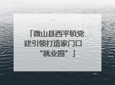 微山县西平镇党建引领打造家门口“就业圈”