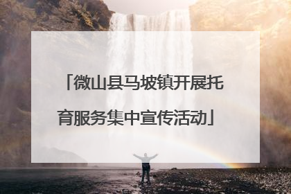 微山县马坡镇开展托育服务集中宣传活动