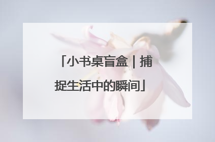 小书桌盲盒｜捕捉生活中的瞬间