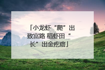 小龙虾“爬”出致富路 稻虾田“长”出金疙瘩