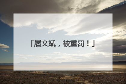 屠文斌，被重罚！