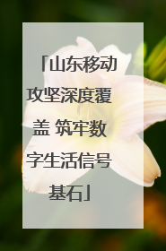 山东移动攻坚深度覆盖 筑牢数字生活信号基石
