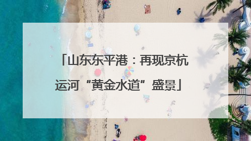 山东东平港：再现京杭运河“黄金水道”盛景