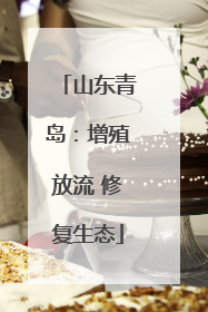 山东青岛：增殖放流 修复生态