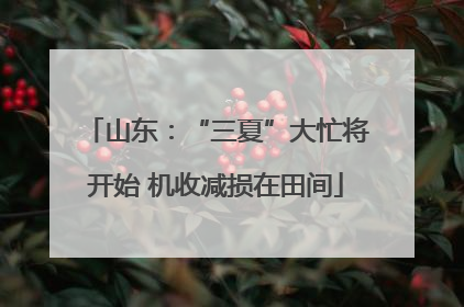 山东：“三夏”大忙将开始 机收减损在田间