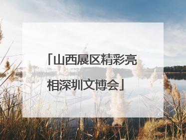 山西展区精彩亮相深圳文博会