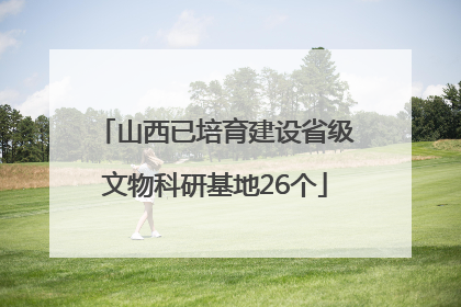 山西已培育建设省级文物科研基地26个