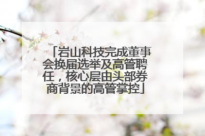 岩山科技完成董事会换届选举及高管聘任，核心层由头部券商背景的高管掌控