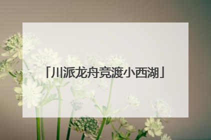 川派龙舟竞渡小西湖