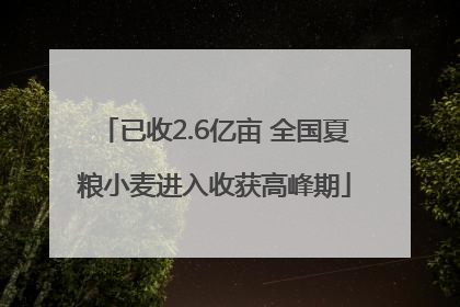 已收2.6亿亩 全国夏粮小麦进入收获高峰期