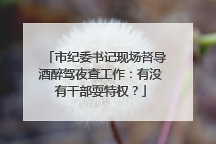 市纪委书记现场督导酒醉驾夜查工作：有没有干部耍特权？
