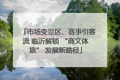市场变景区、赛事引客流 临沂解锁 “商文体旅” 发展新路径