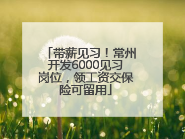 带薪见习！常州开发6000见习岗位，领工资交保险可留用