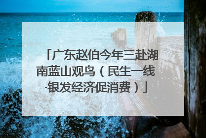 广东赵伯今年三赴湖南蓝山观鸟（民生一线·银发经济促消费）