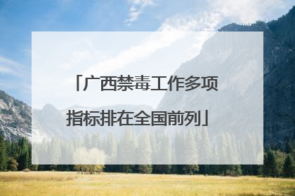 广西禁毒工作多项指标排在全国前列